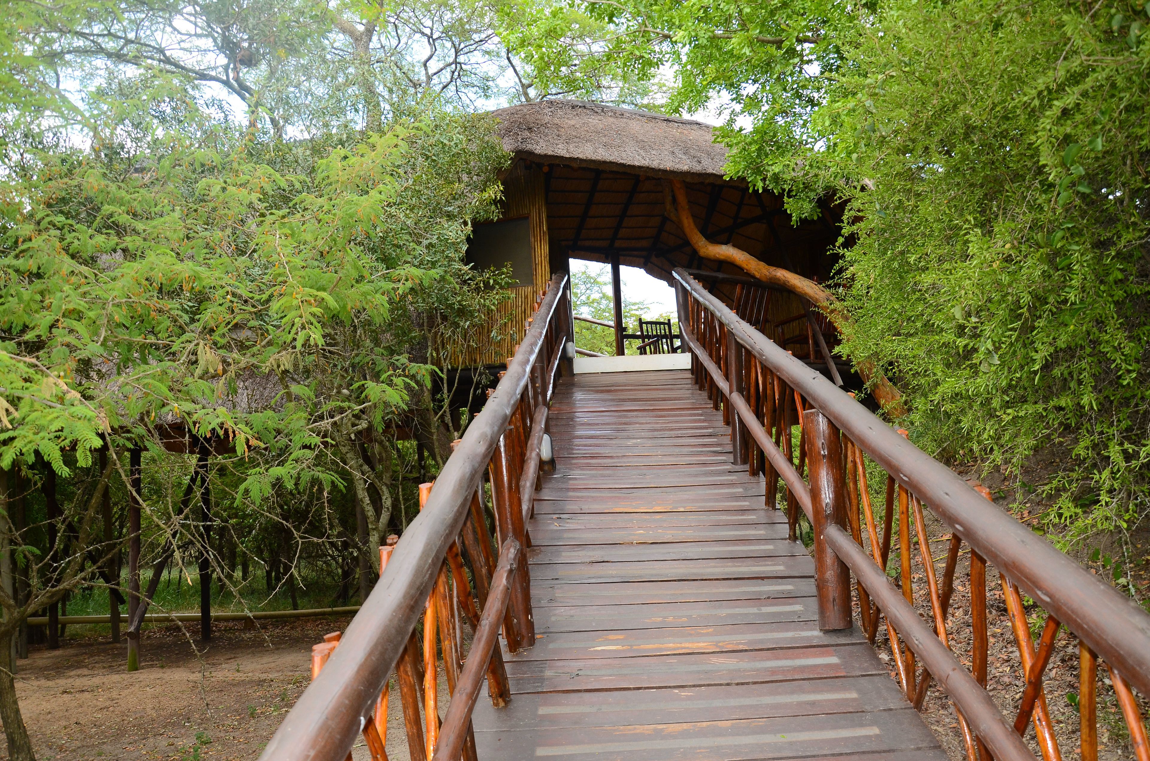 Falsethorn (Standard / Family Tree House  | Exterior