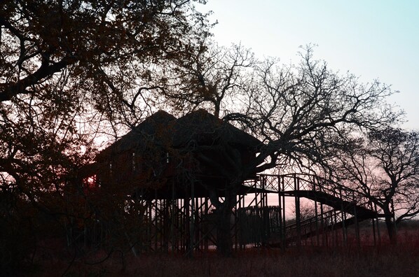 A rustic wooden structure with a thatched roof, surrounded by trees and a fence. - Pezulu Tree House Lodge (Hoedspruit)
