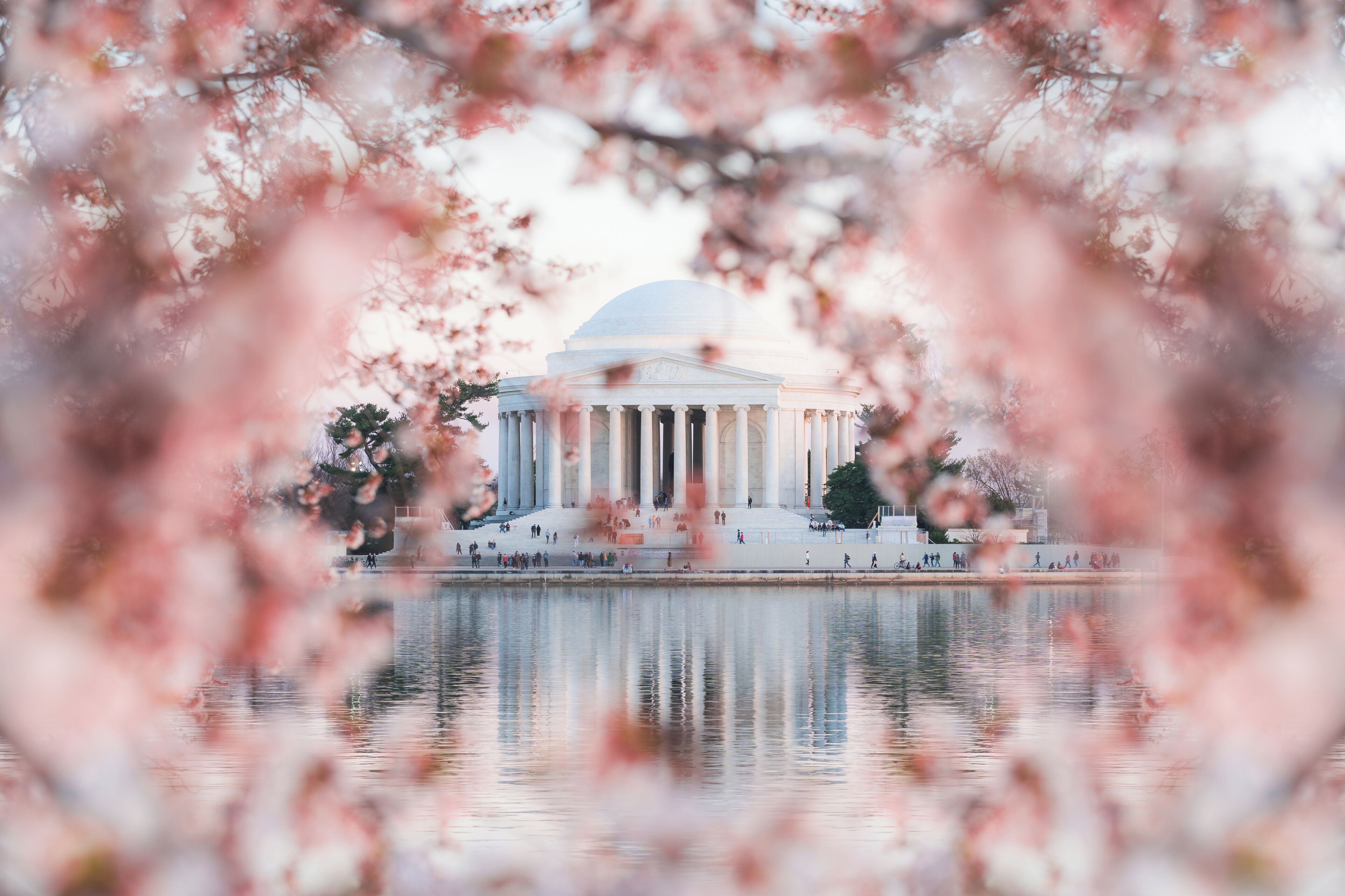 Photo - The Darcy Hotel, Washington DC
