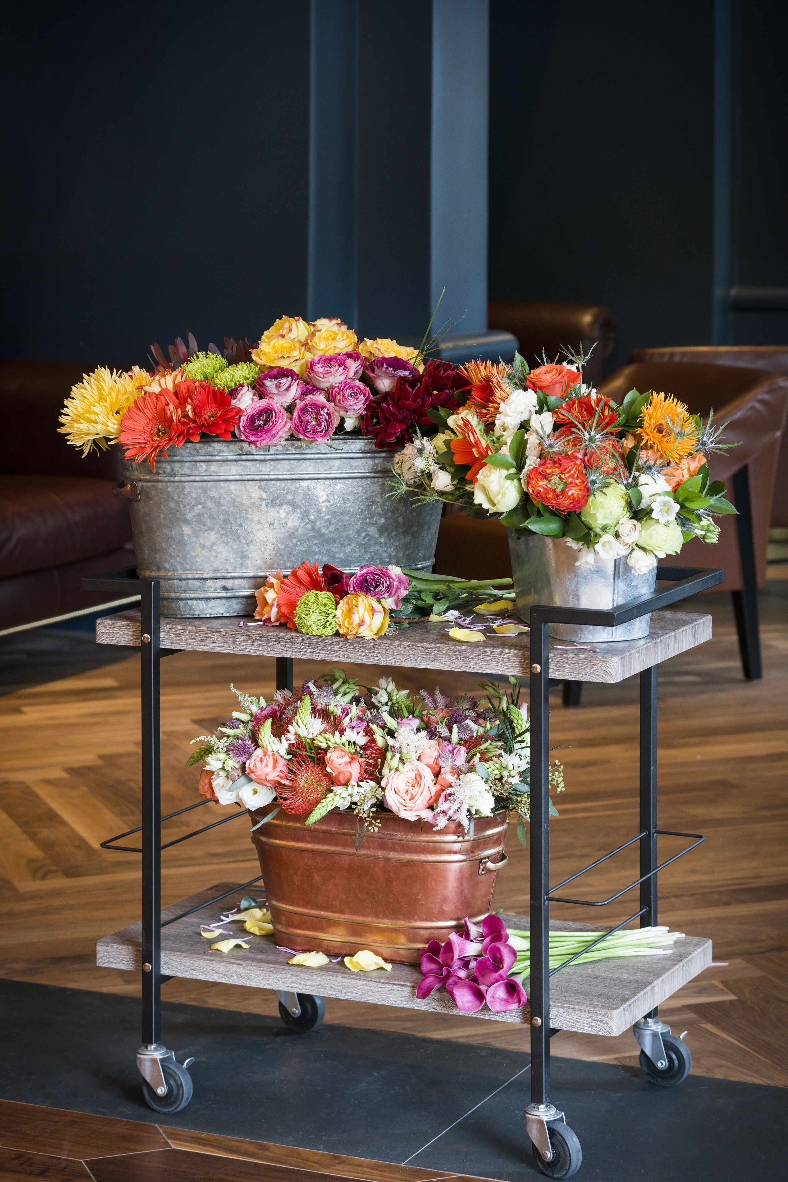 Photo - The Darcy Hotel, Washington DC