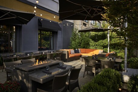 The Darcy Hotel - Image 3
