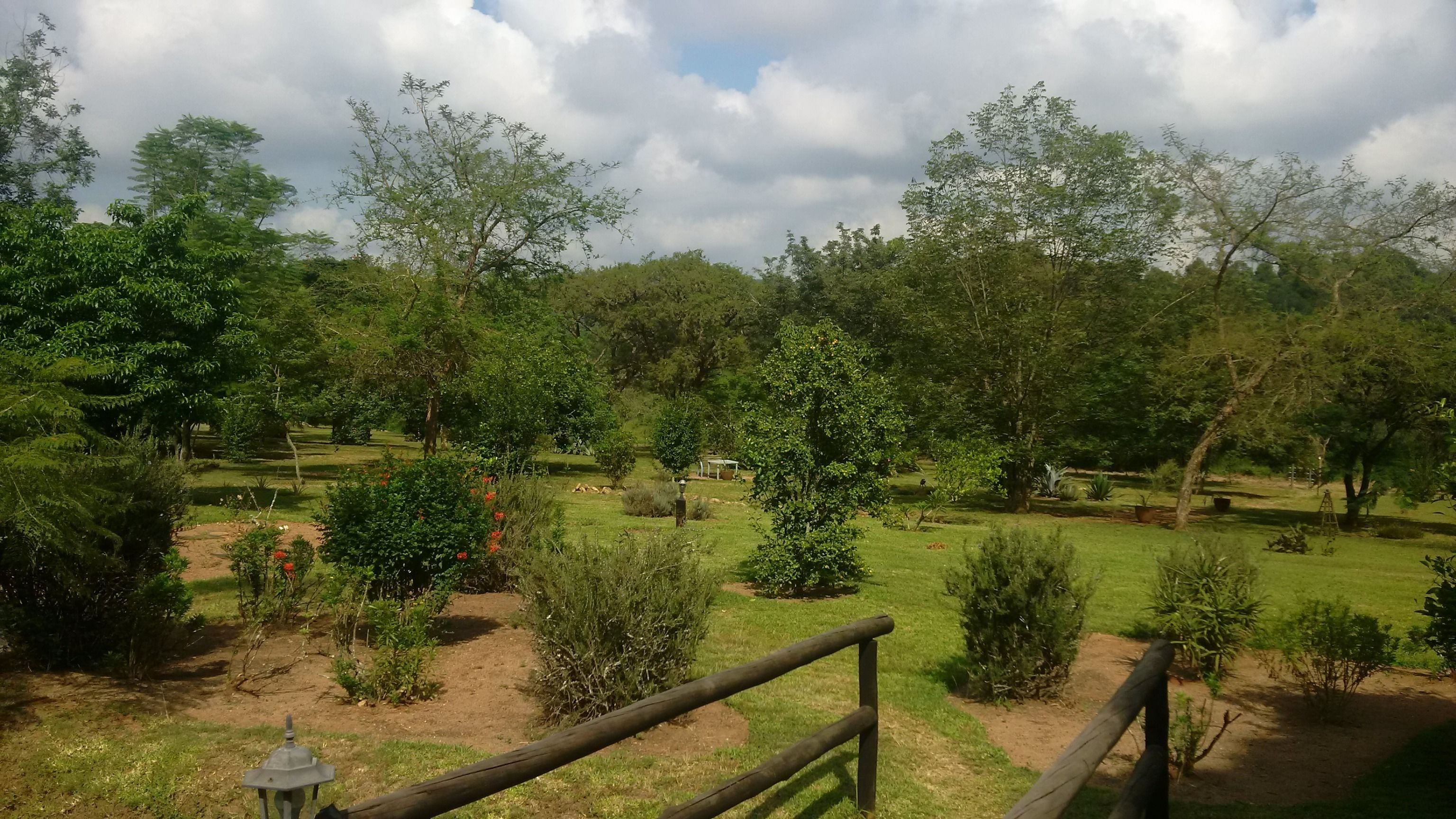 Un jardín exuberante con diversos árboles y arbustos, una valla de madera y una pequeña construcción al fondo.