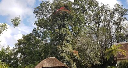 Thokozani Lodge