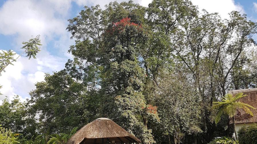 Thokozani Lodge