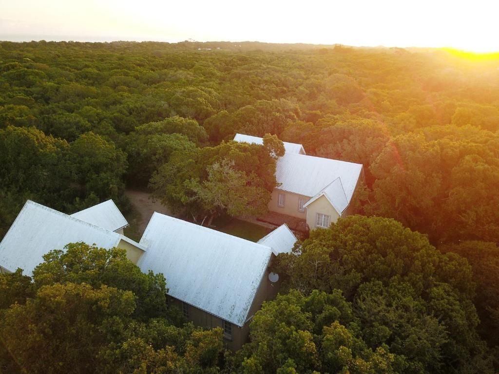 Uma propriedade rural com vários edifícios rodeada por uma floresta densa.
