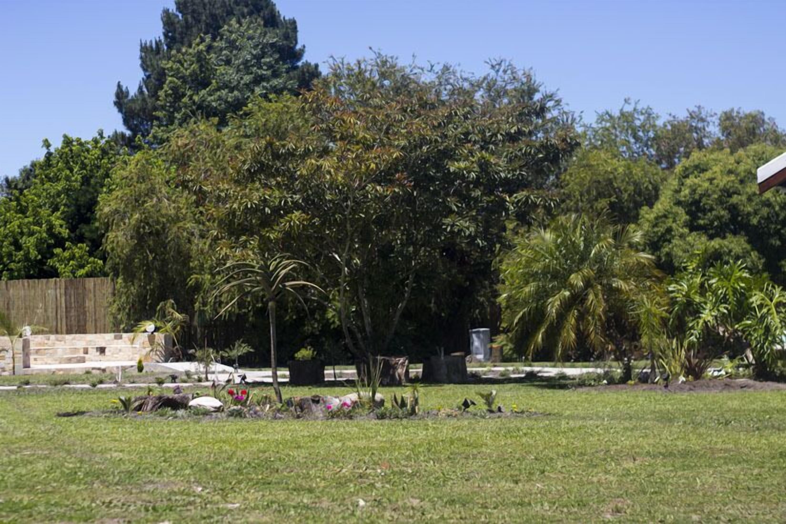 A grassy outdoor area with trees and a stone wall.