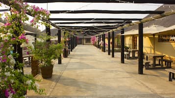 Terraço/pátio