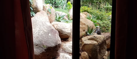 Comfort Double Room | View from room