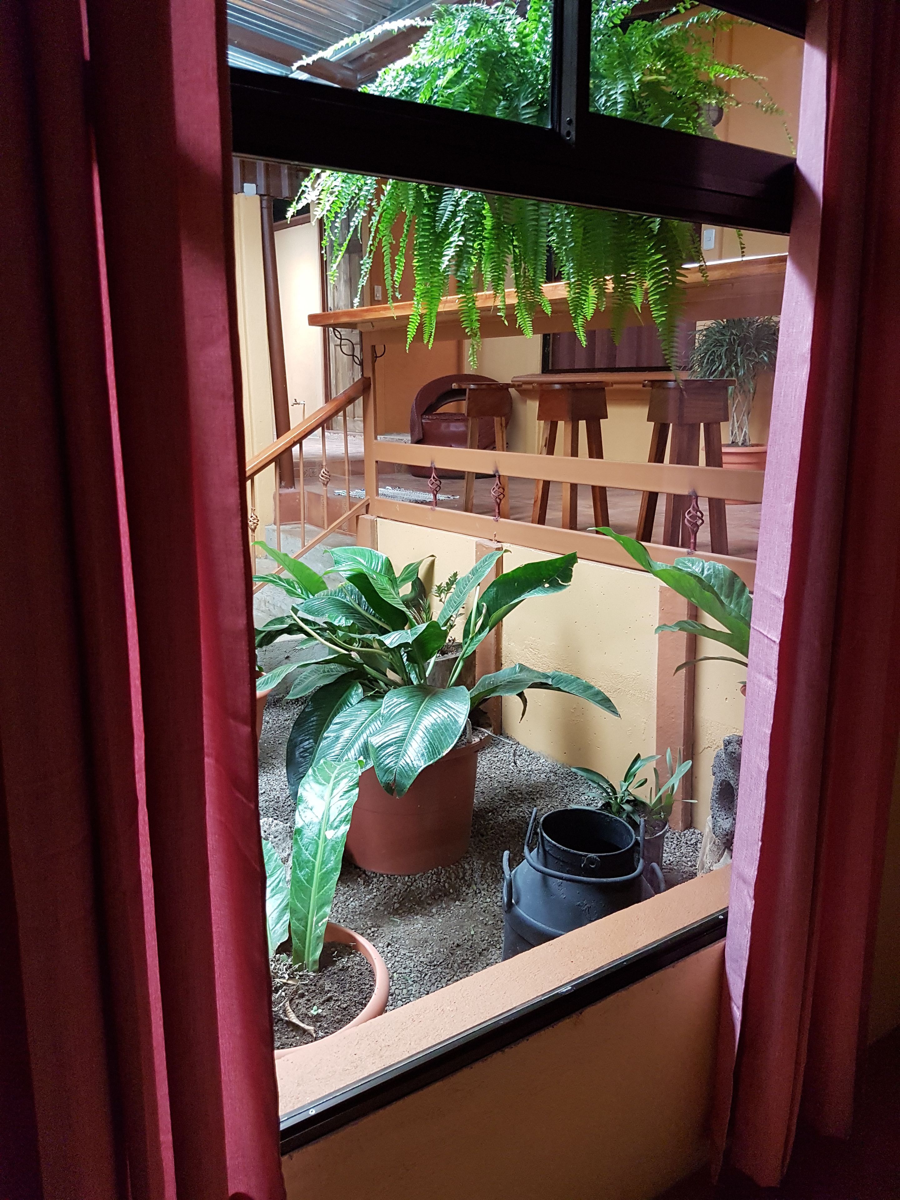 comfort quadruple room | view from room