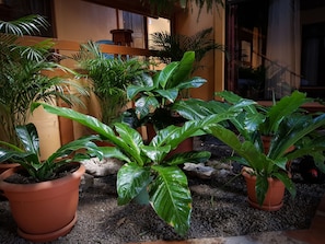 Interior - Greemount Hotel (Monteverde)