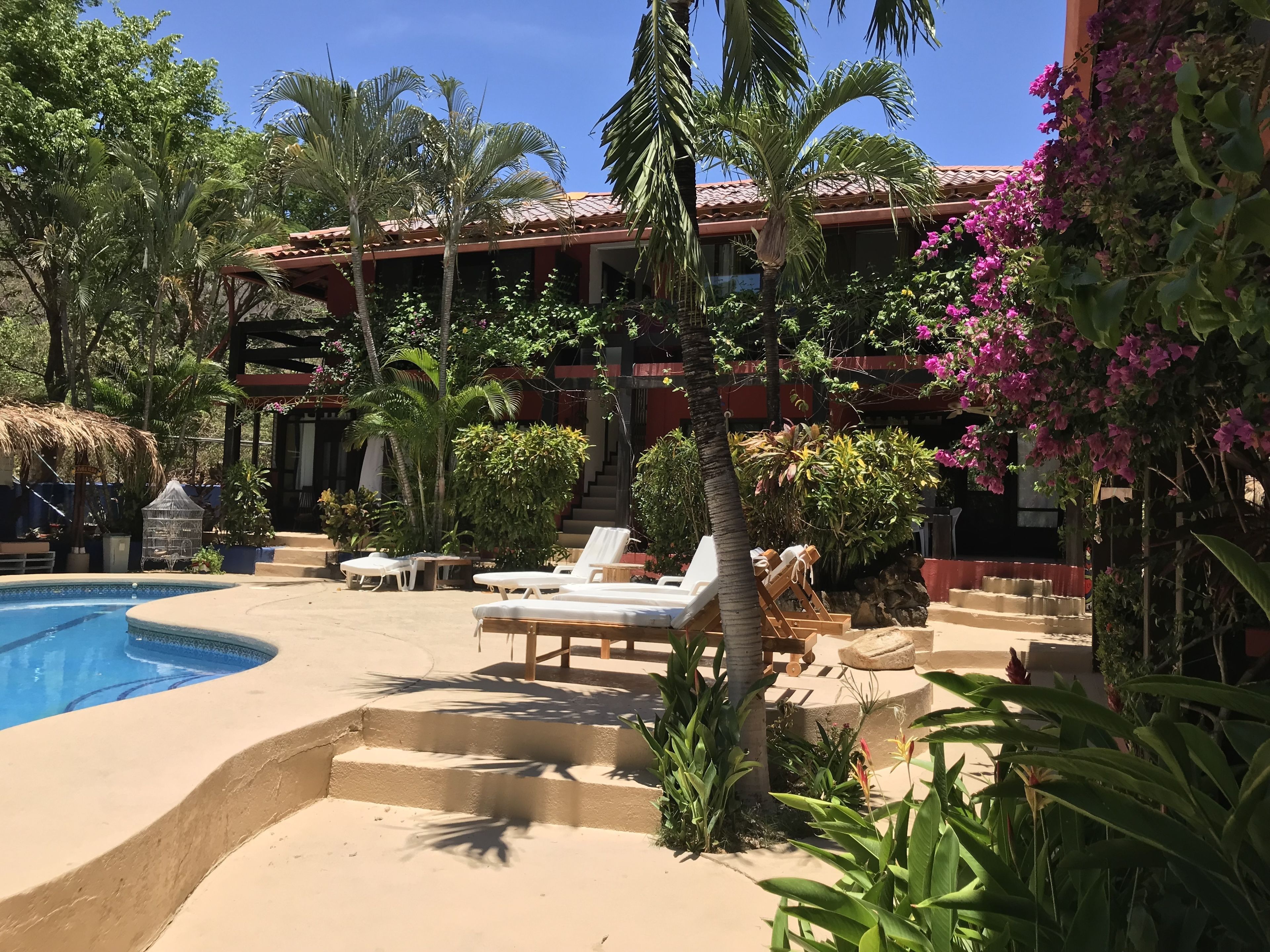 A pool area with lounge chairs, palm trees, and a building with a red roof.