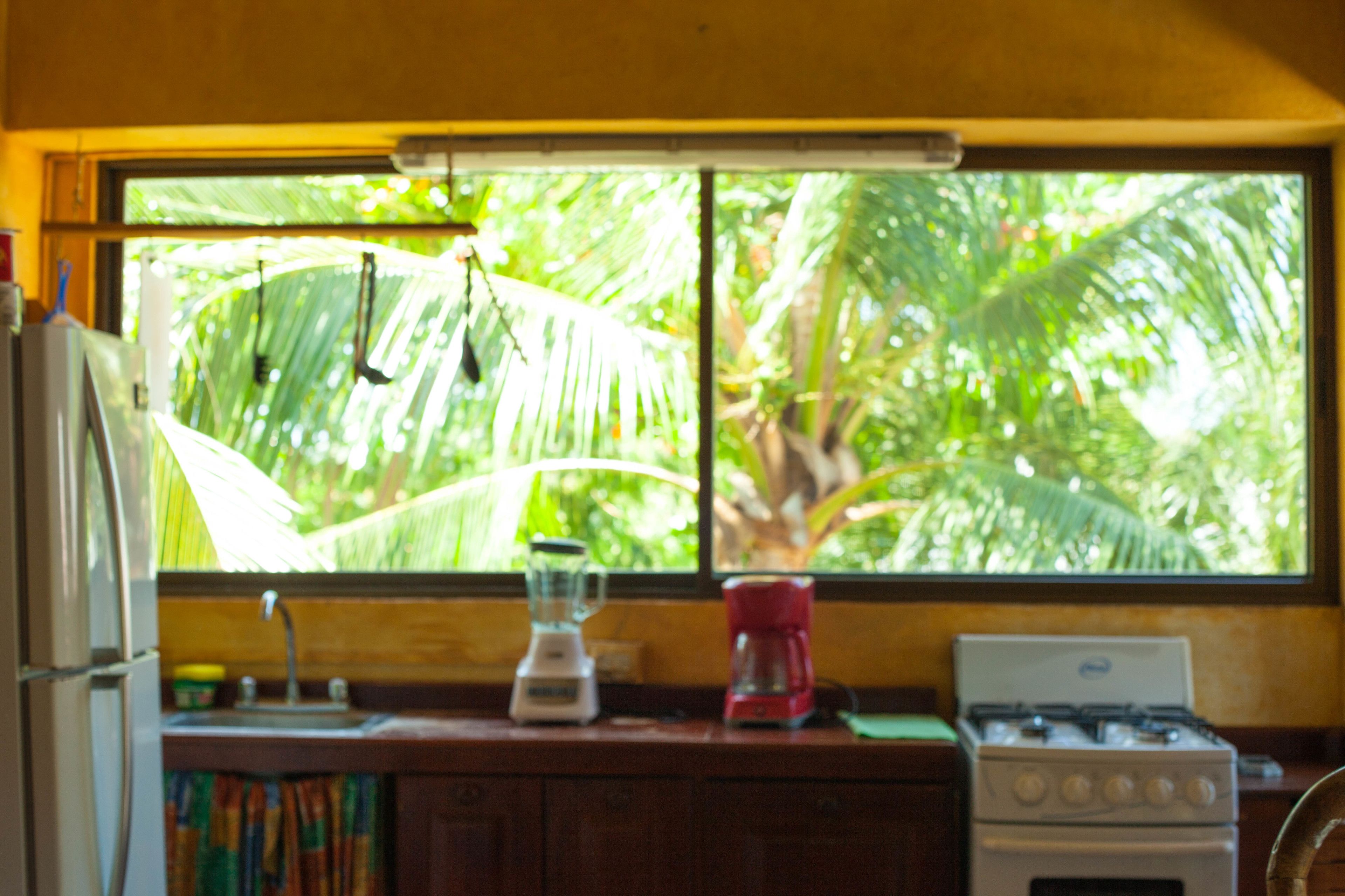 A kitchen with a window view of a tropical landscape, a refrigerator, a blender, a coffee maker, and a stove.