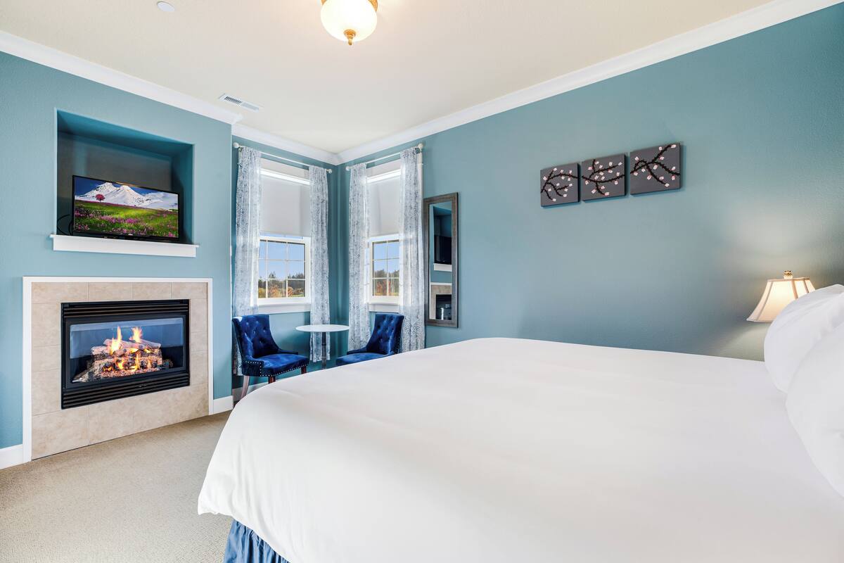 A bedroom with a large bed, a fireplace, a television, and a view of the outdoors through the windows.