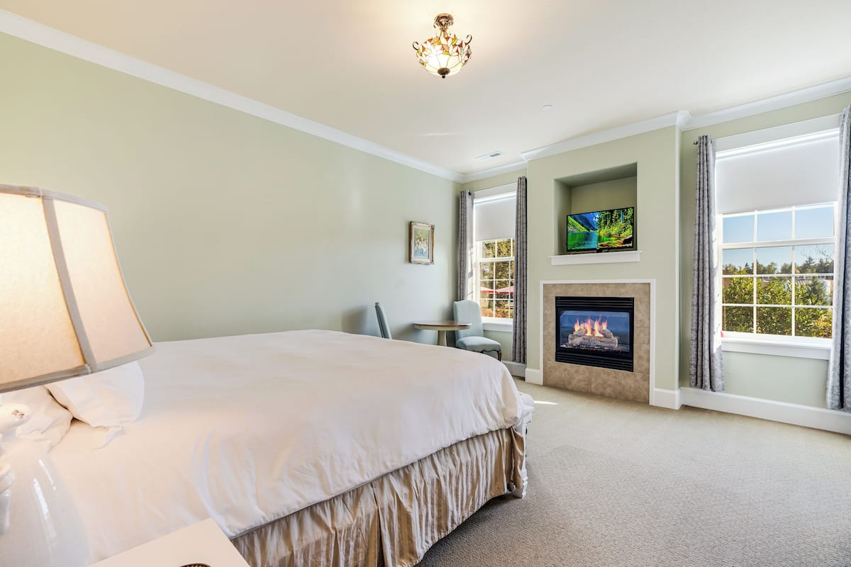 A bedroom with a large bed, a fireplace, a television, and a view of the outdoors.