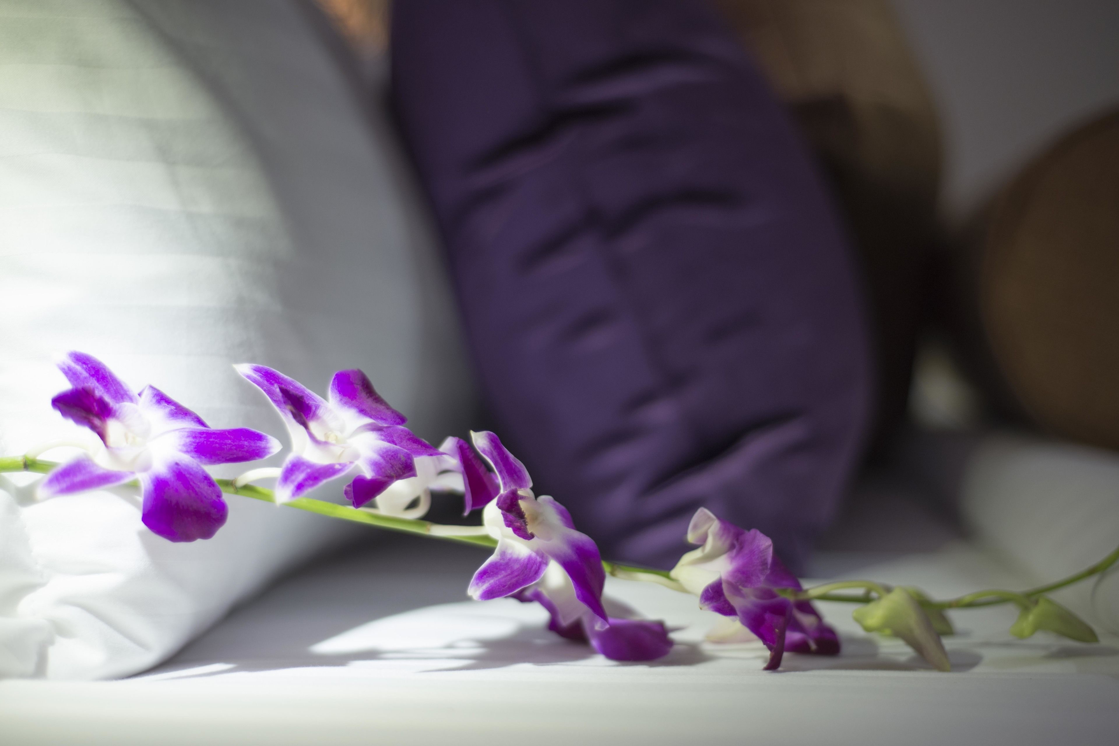 premier double or twin room | 1 bedroom, minibar, in-room safe, desk