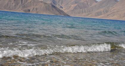 Pangong Holiday Cottages