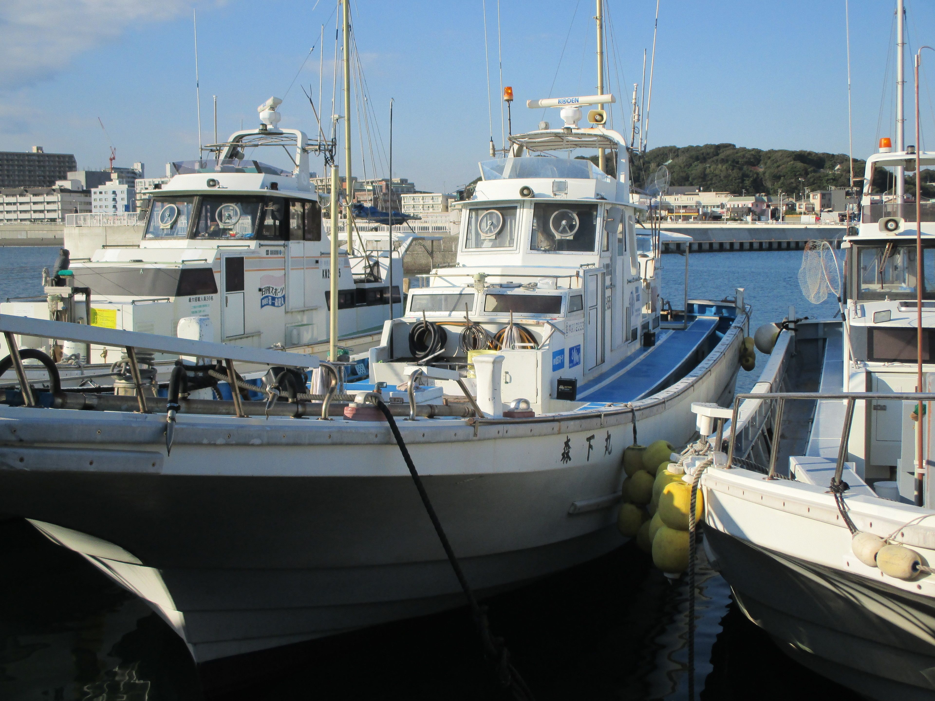 A marina with several boats docked.