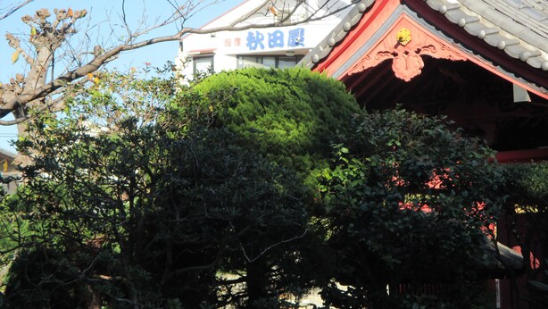 A traditional building with a tiled roof and a sign in a foreign language. - Akitaya (Kamakura)