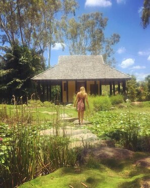 A person walking towards a building with a tiled roof, surrounded by lush greenery and a pond with lily pads. - Gladstone Backpackers (Gladstone)