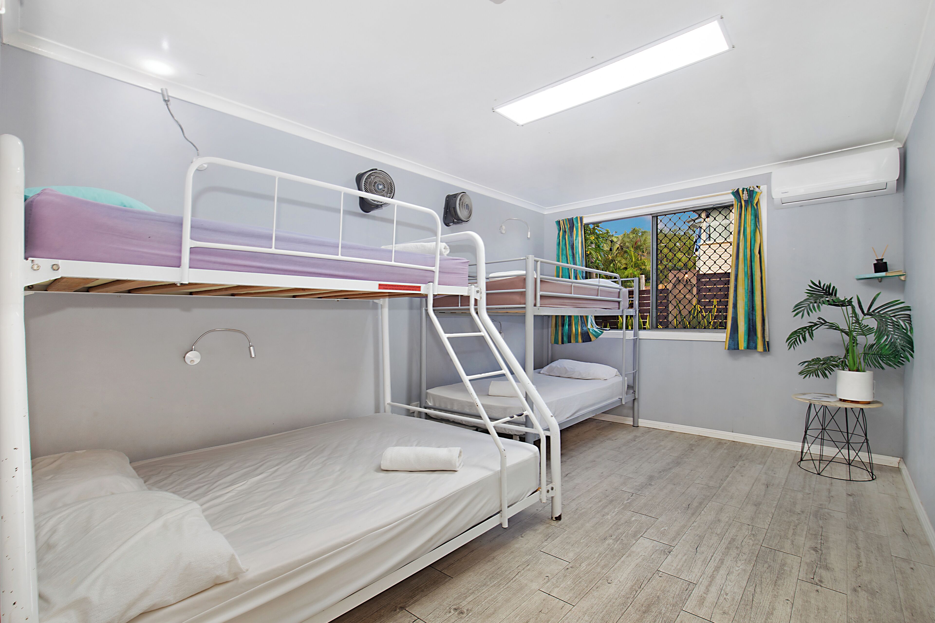 A dormitory room with bunk beds, a small table with a plant, and a window with curtains.