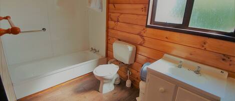 A small bathroom with a toilet, sink, and shower.