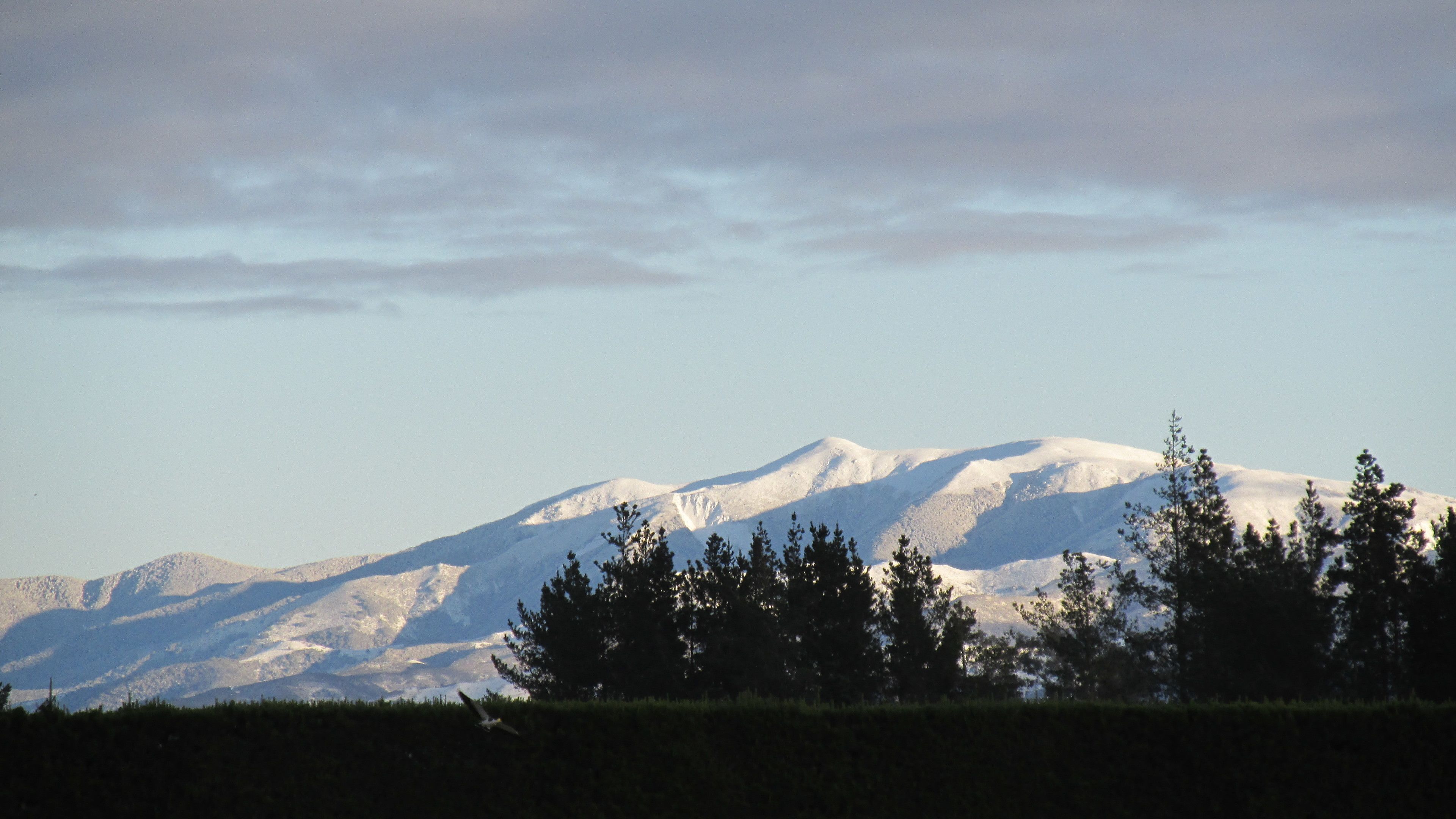 Cottage | View from room