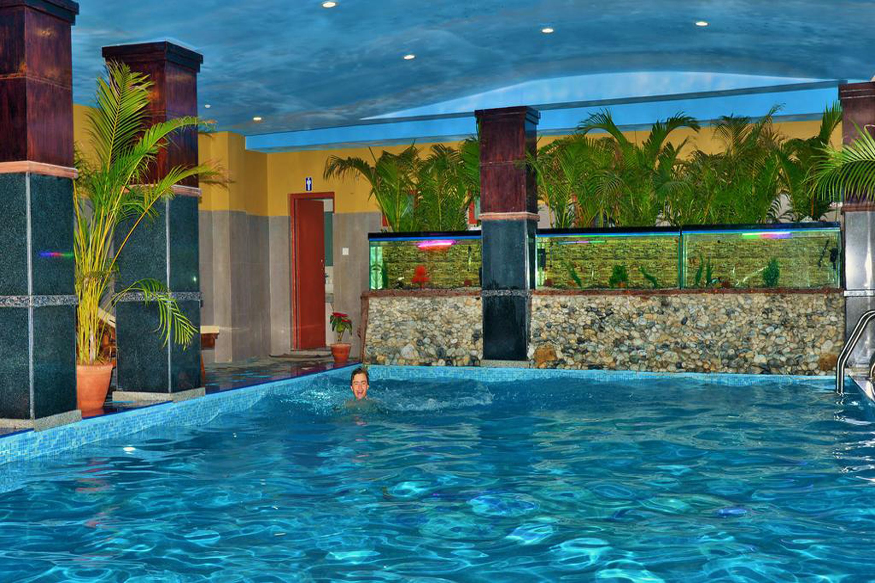An indoor swimming pool with clear water, surrounded by stone walls and palm plants.