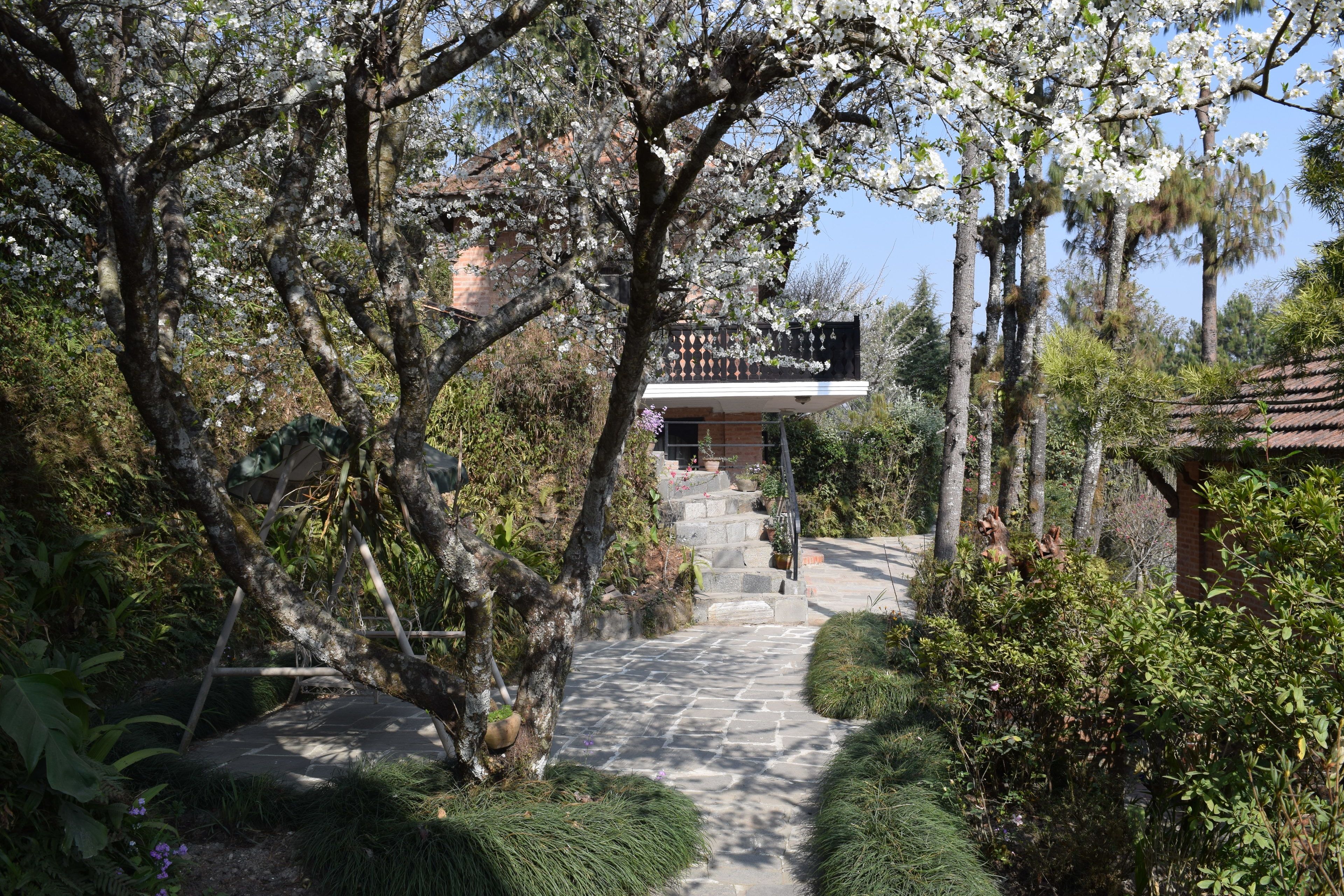 Jardín