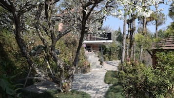 Jardín