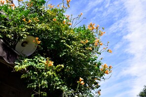 View from property - Peking International Youth Hostel (Beijing)