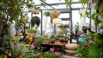 Terraço/pátio
