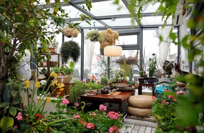 Terrace/patio - Peking International Youth Hostel (Beijing)
