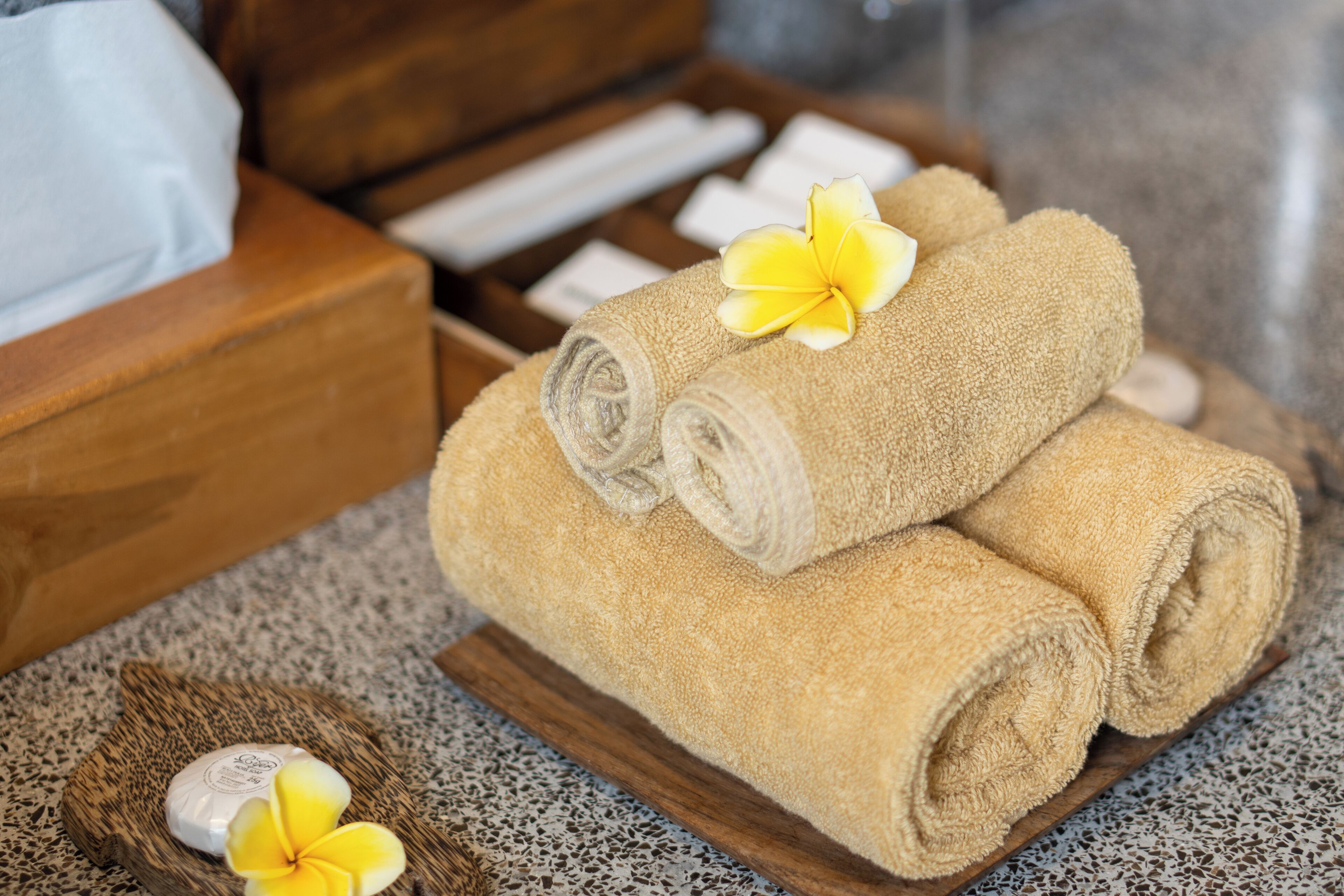 combined shower/bathtub, free toiletries, hair dryer, slippers