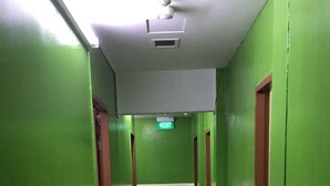Een gang met groene en witte wanden, een betegelde vloer en bruine deuren.