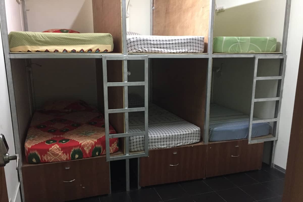 A bunk bed with a lower bed and a top bunk, each with a mattress and a pillow. There are drawers under the lower bed and a ladder for the top bunk.