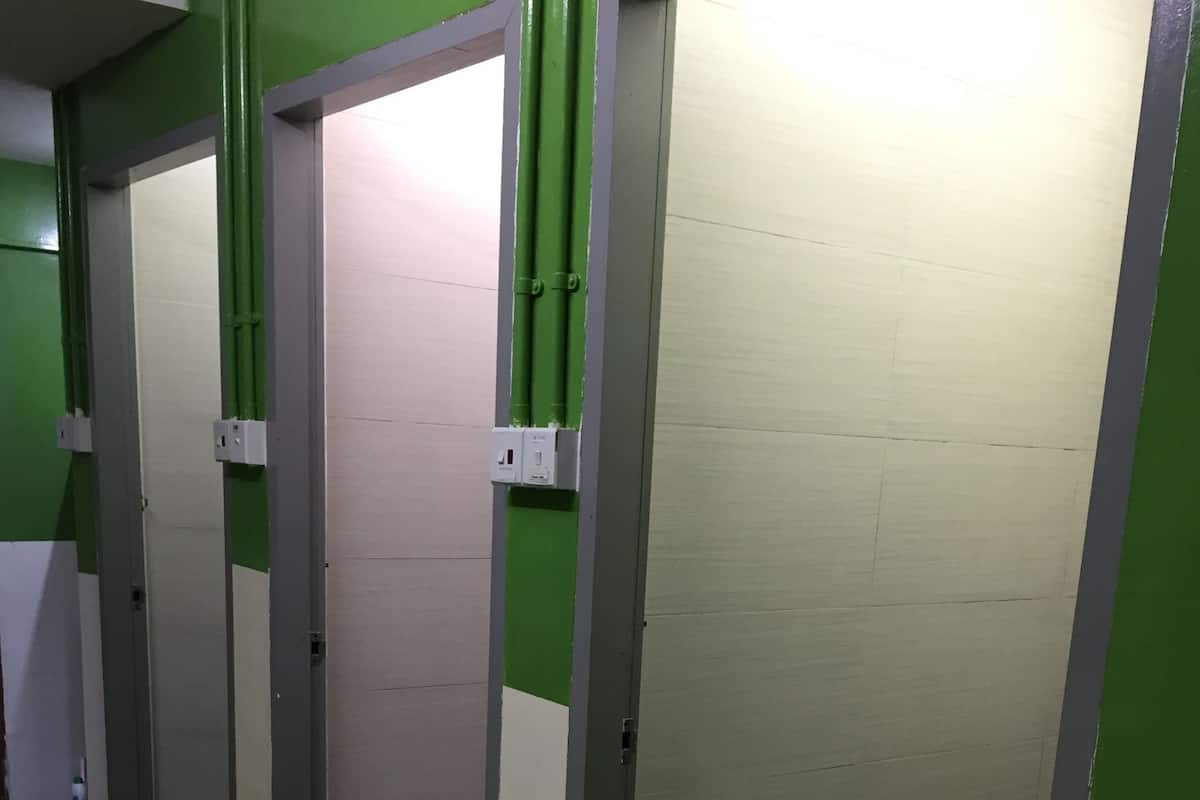 Shower, hydromassage showerhead, hair dryer, towels