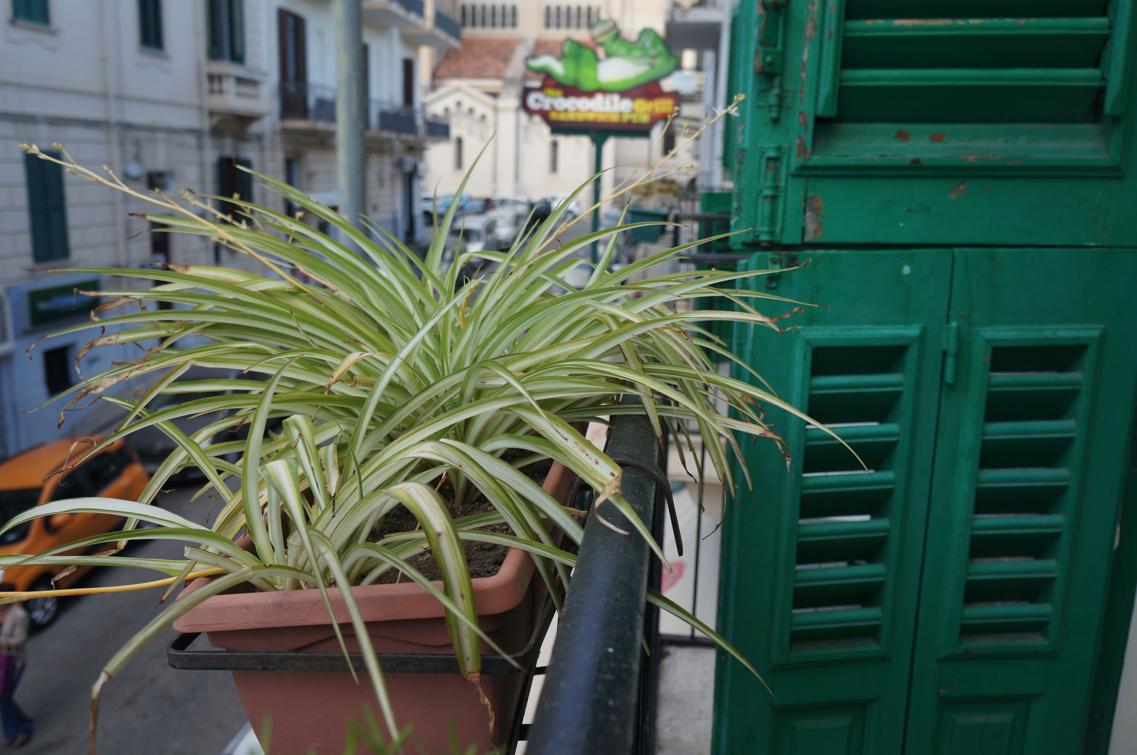 Foto - B&B Casa Laganà