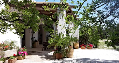 Agriturismo Vignavecchia