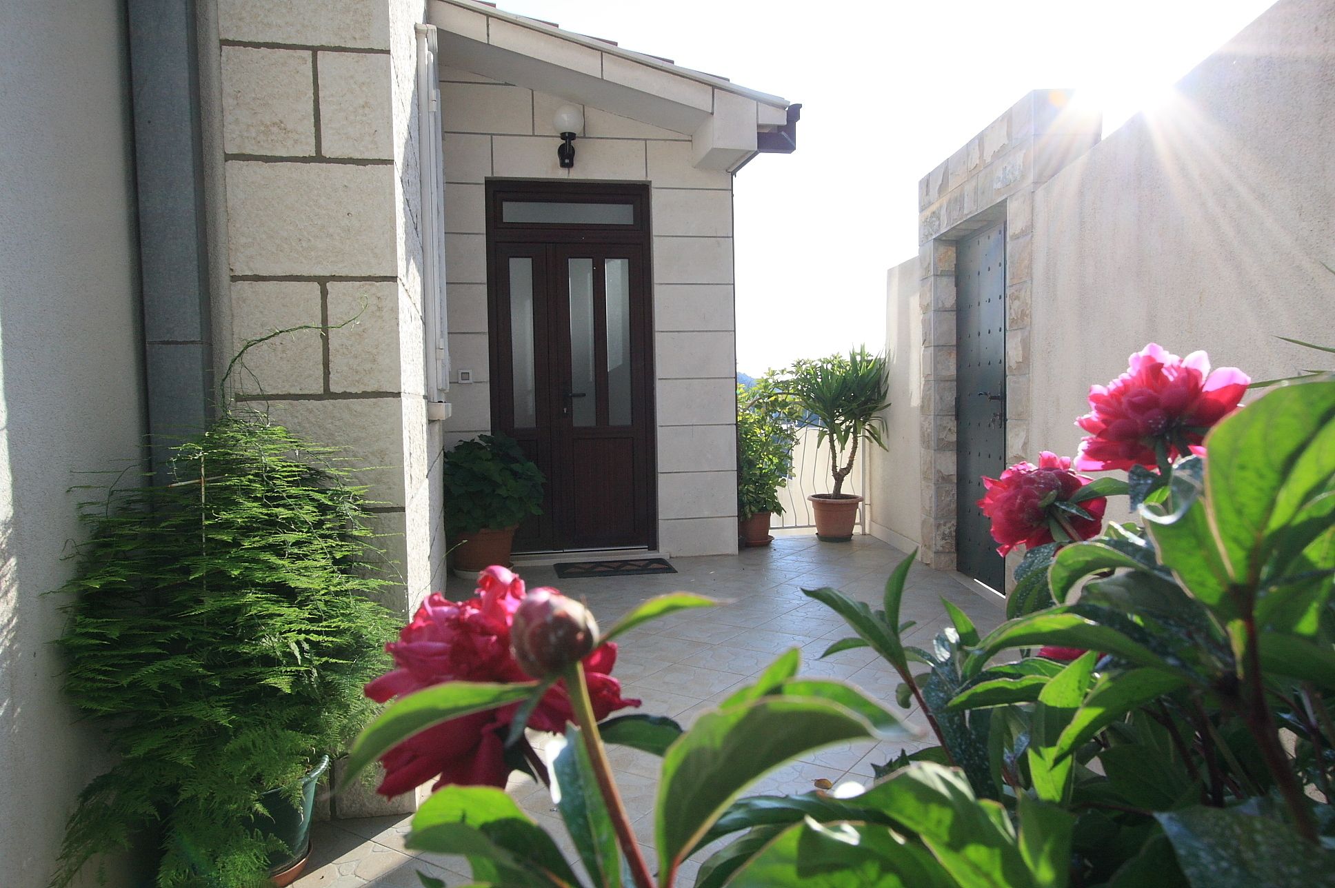 Foto - Guesthouse Victoria