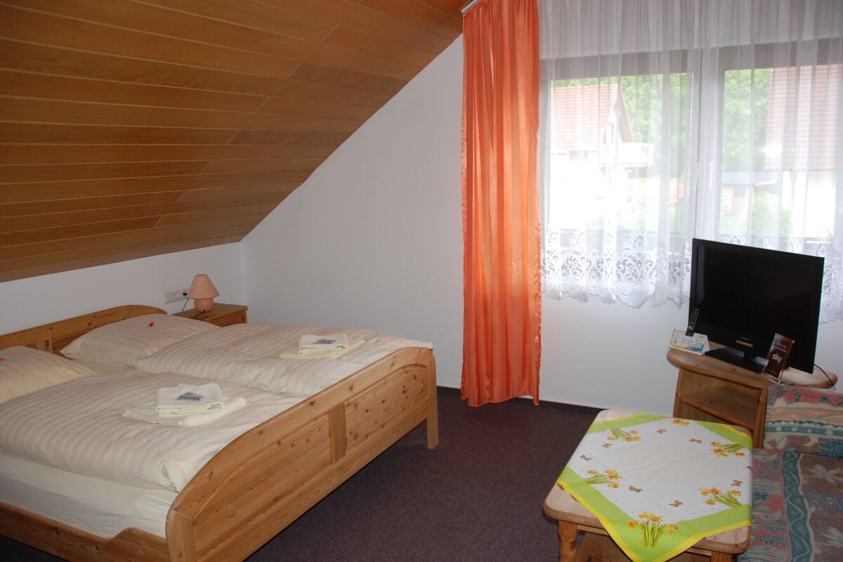 Desk, soundproofing, iron/ironing board, free WiFi