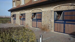 A stable with three horse stalls, each with a wooden door and a horse visible inside. - PS Orion (De Haan)