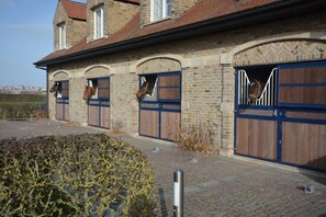 Exterior - PS Orion (De Haan)