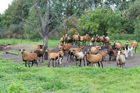 Flair Hotel Reuner – Affordable hotel in Zossen