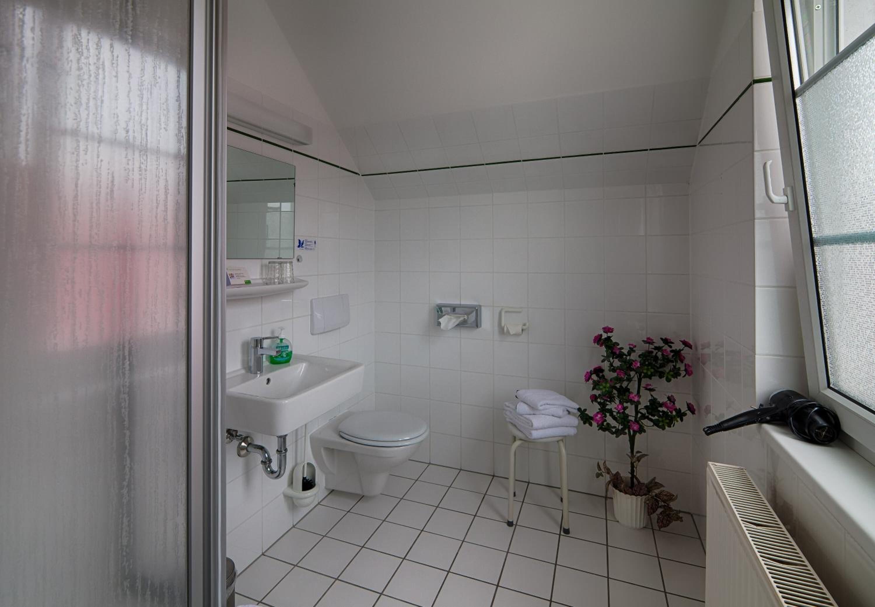 free toiletries, hair dryer, towels