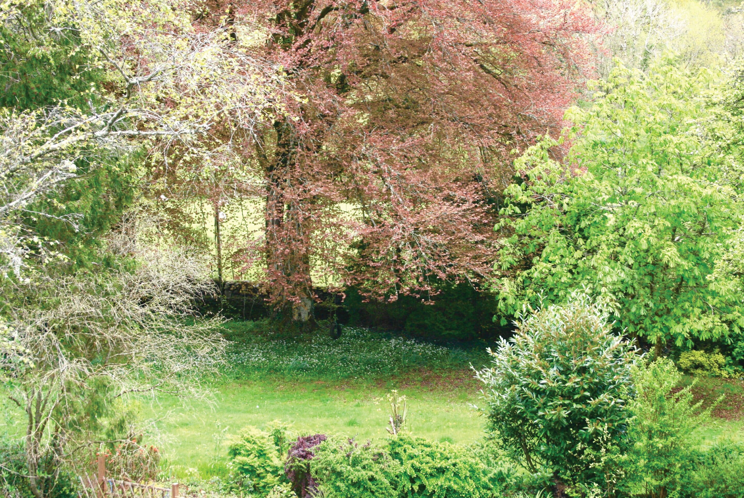Un jardin agrémenté de divers arbres et arbustes, une clôture en bois et une zone herbeuse.