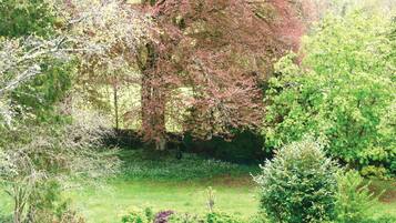 Un jardin agrémenté de divers arbres et arbustes, une clôture en bois et une zone herbeuse.