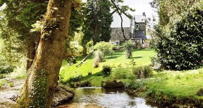 Afon Rhaiadr Country House