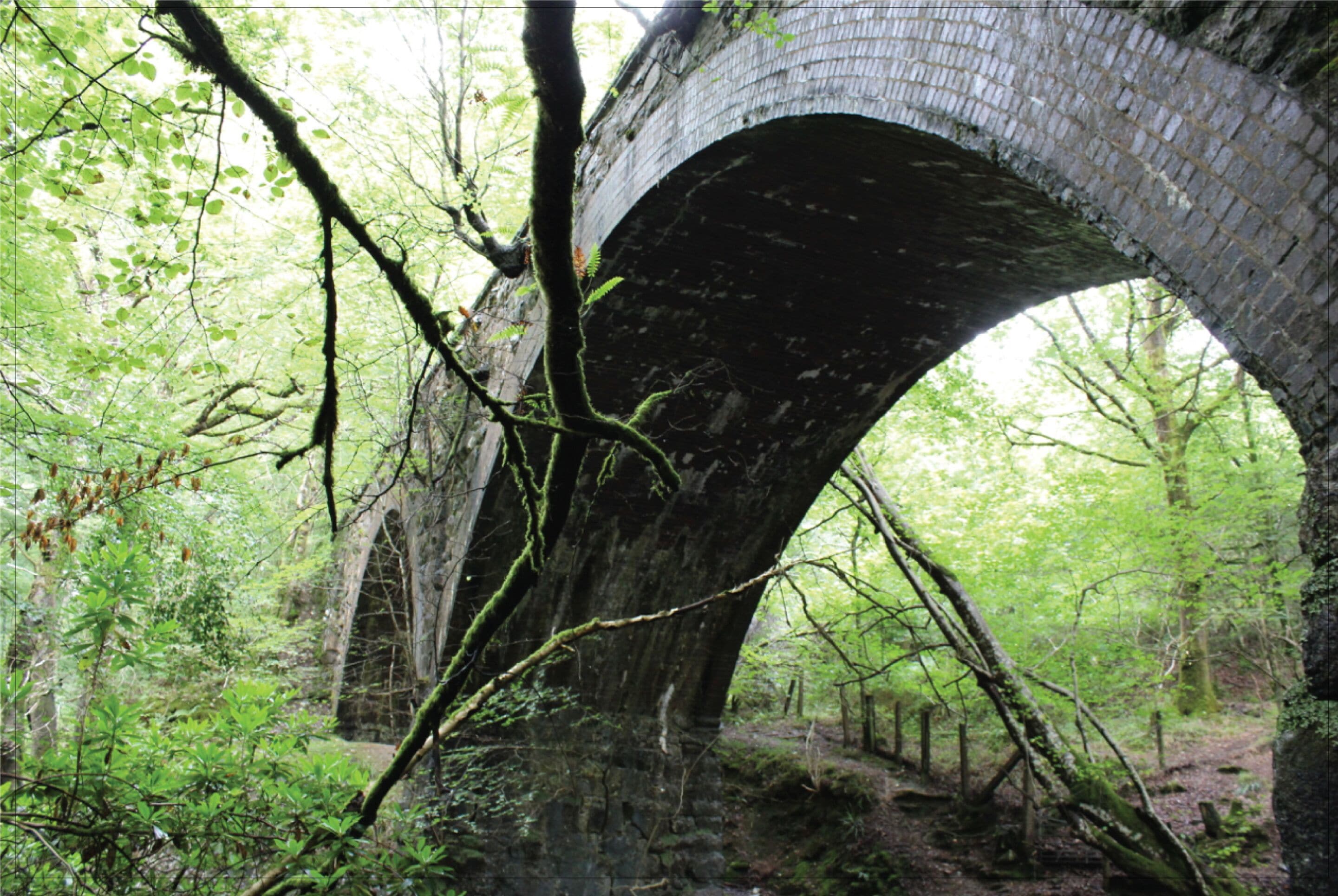 A stone bridge arching over a forested area.