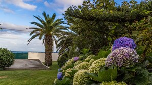 Un jardín ajardinado con flores de hortensia, una palmera y un edificio verde al fondo.