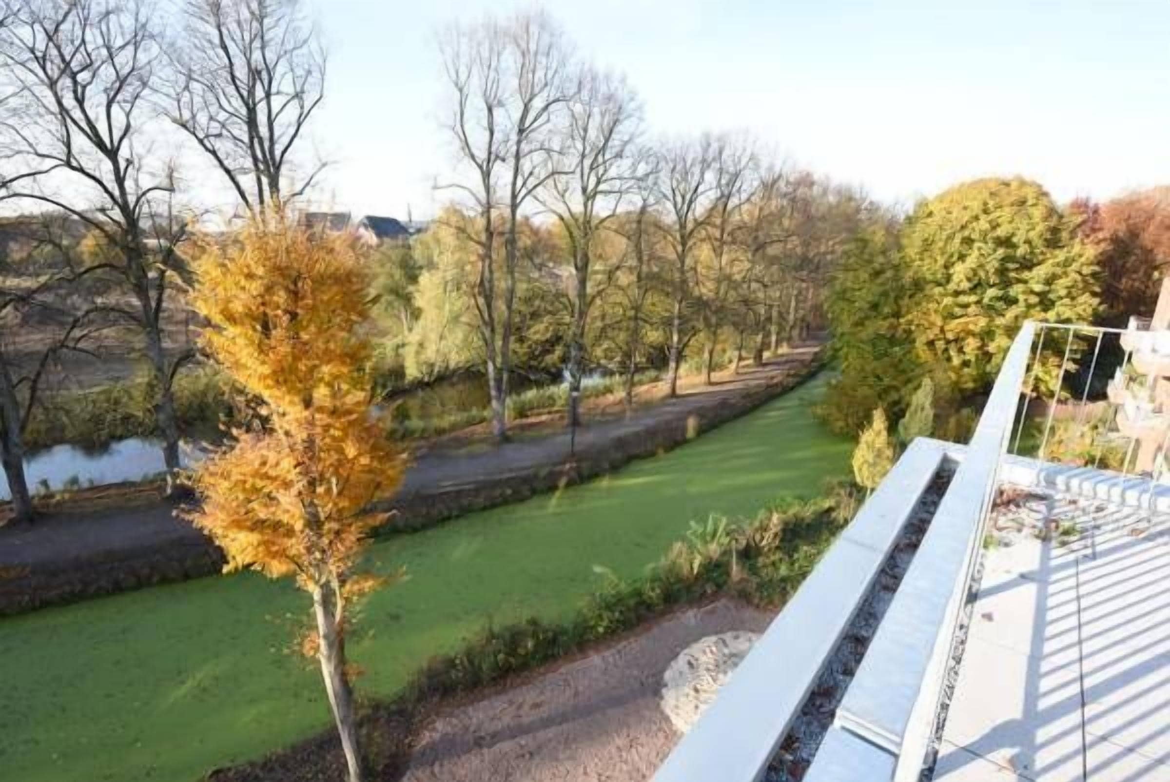 Une vue d’un parc avec un sentier, des arbres et une étendue d’eau.